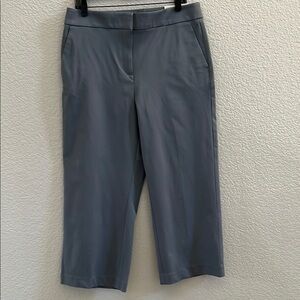 Ann Taylor Loft Slim Wide Leg Crop Pant Slate Blue High Rise Stretch Size 12
